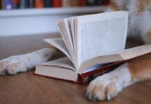 Title: The “Dogs Can Read” Program: Empowering Minds Through Canine Companionship