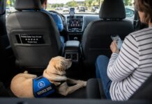 Service Dog Ride-Share Etiquette: Uber, Lyft, and the Front Seat Debate Service Dog Ride-Share Etiquette